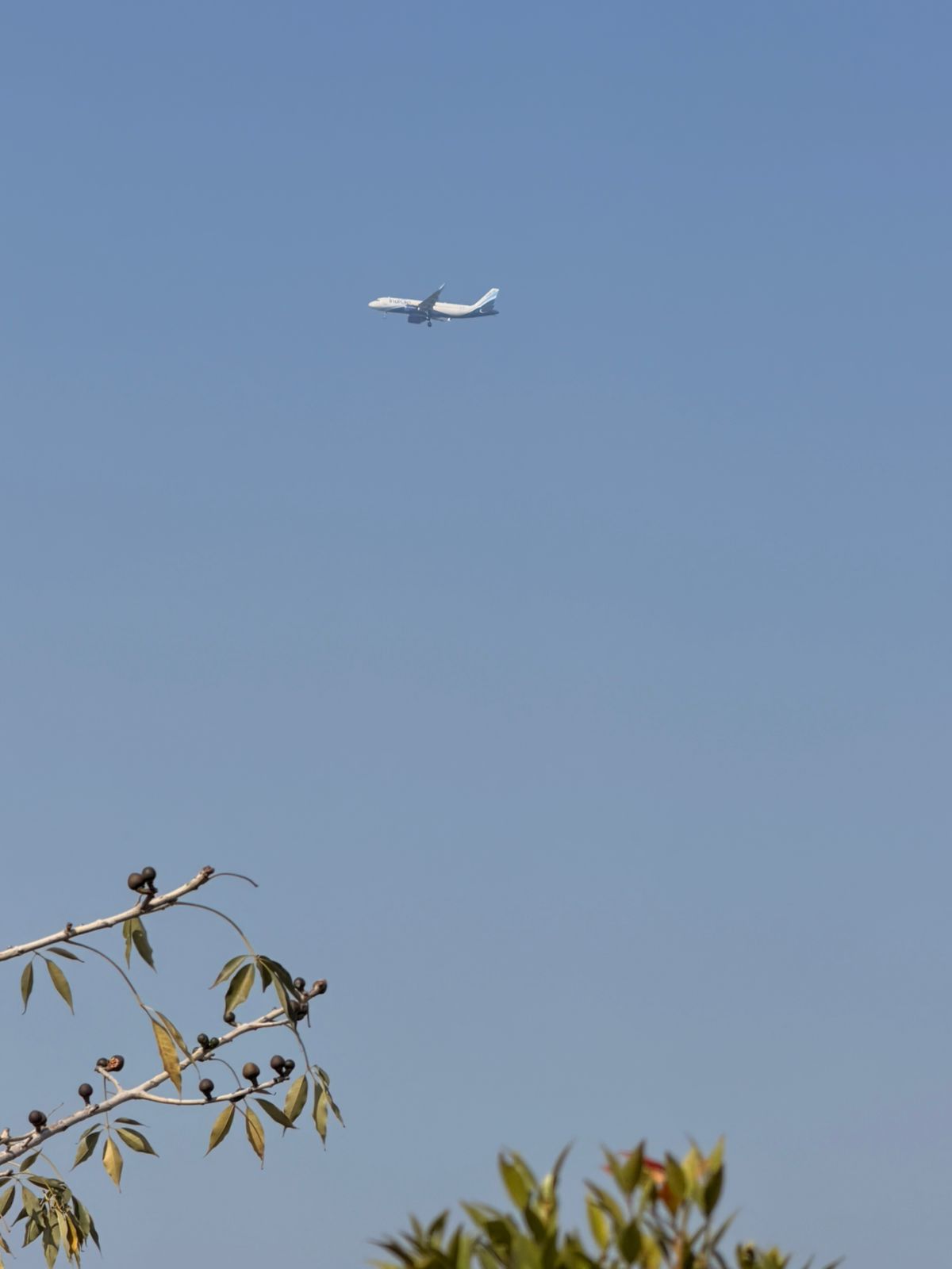 The Eternal Fascination With Aeroplanes