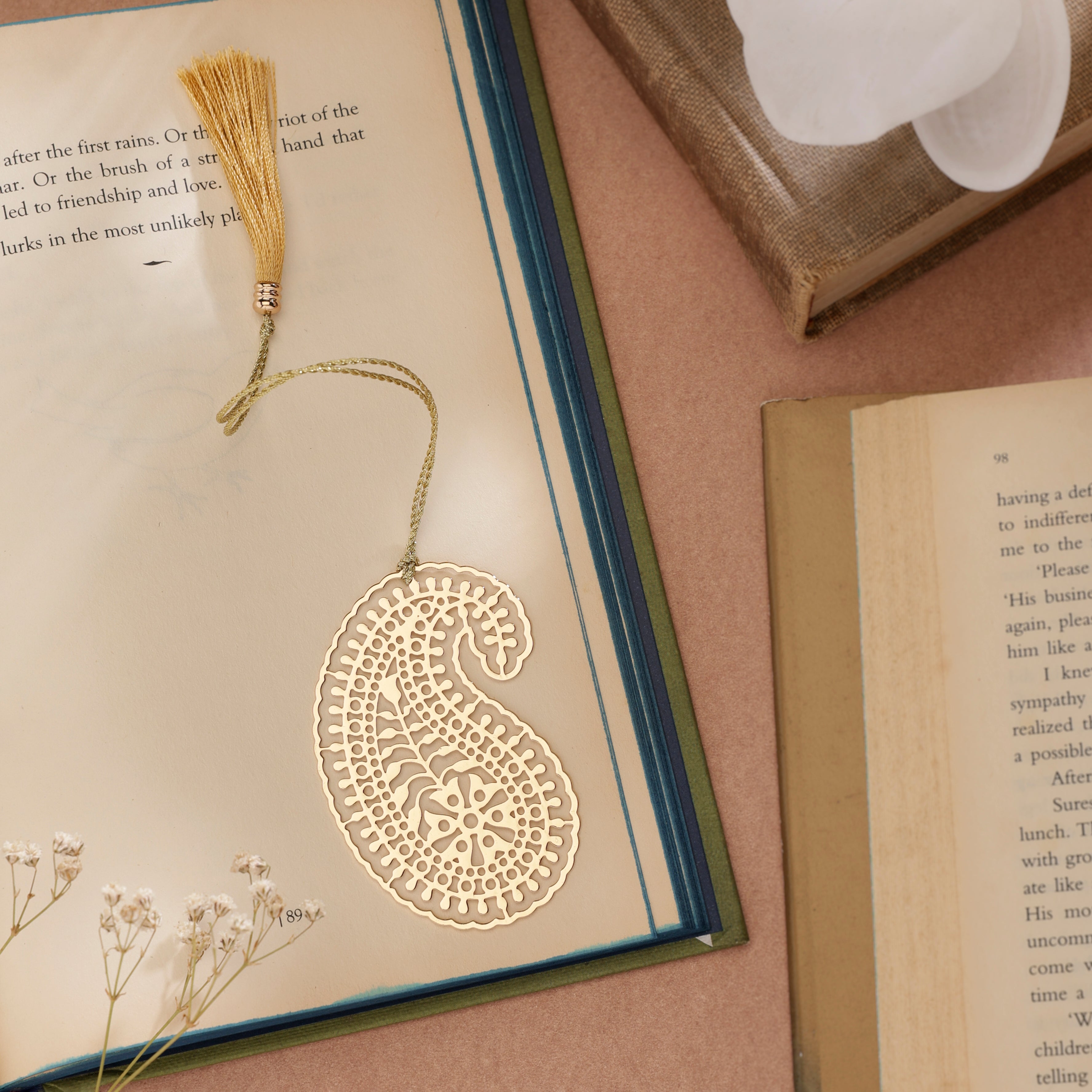 Bookmark Ambi