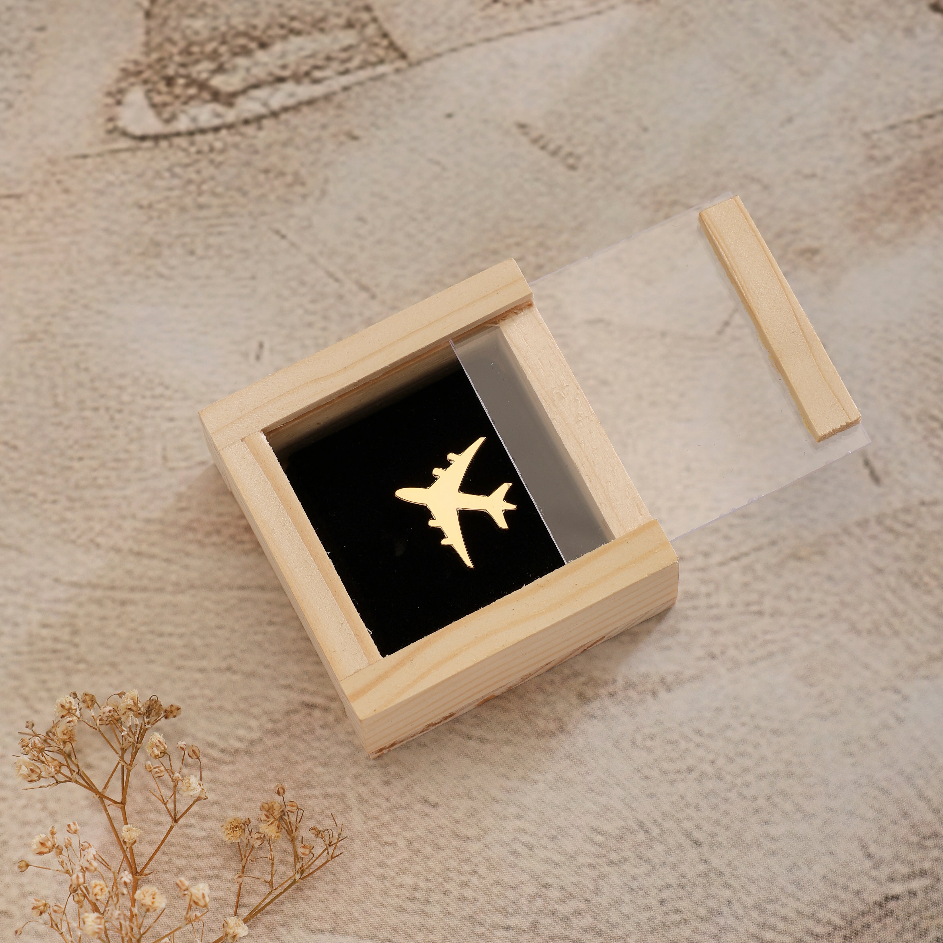 Lapel Pin Aeroplane GP