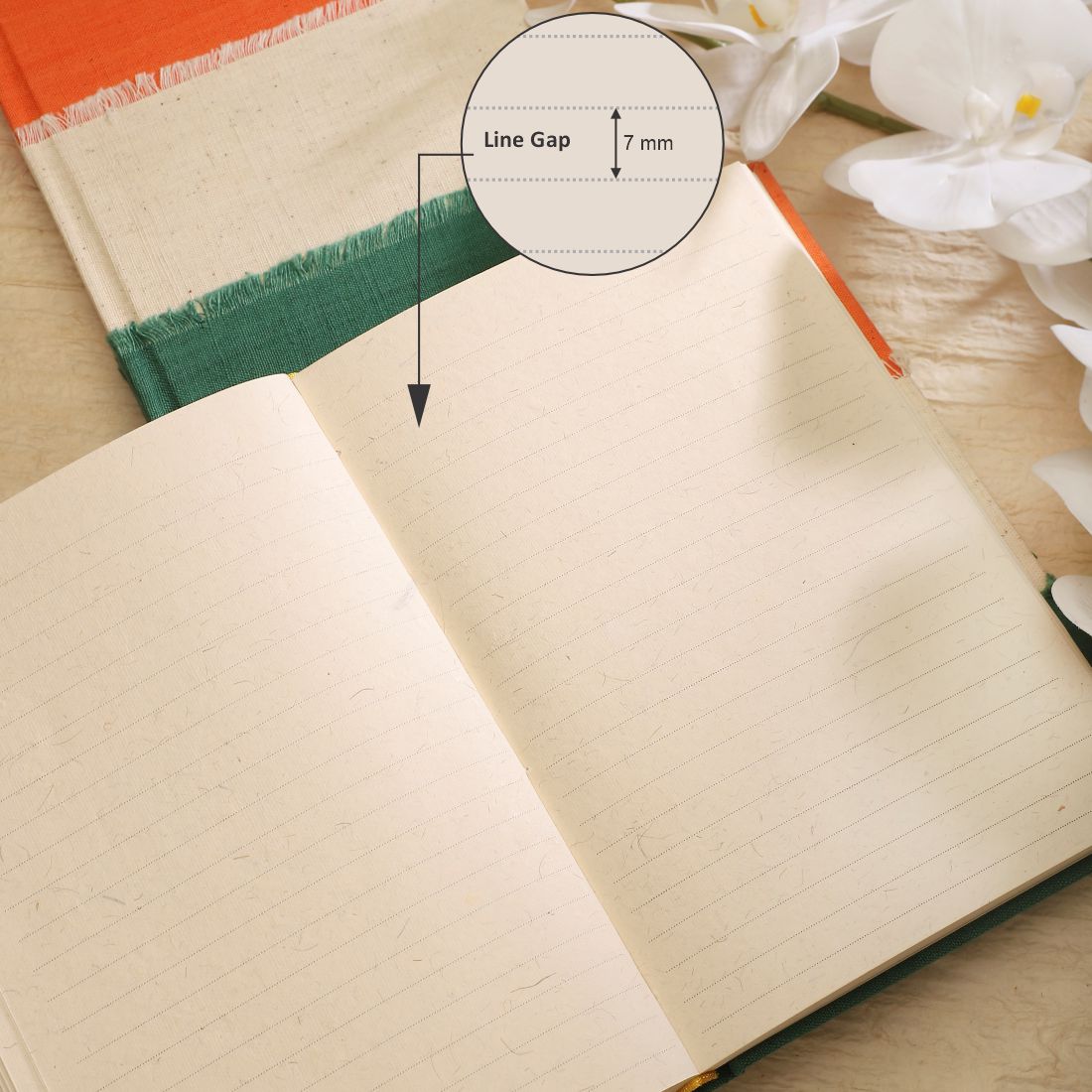 #style_Large Ruled (14.3 x 21.1 cms)