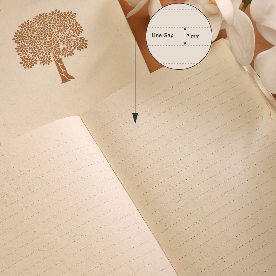 #style_Large Ruled (14.7 x 21.3 cms)