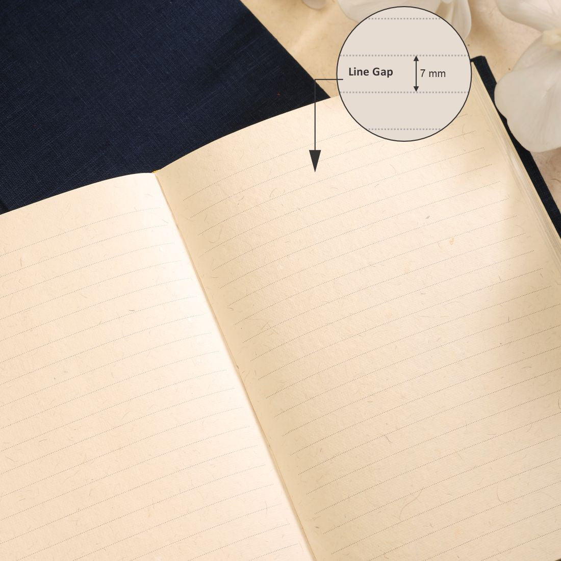 #style_Large Ruled (14.3 x 21.1 cms)