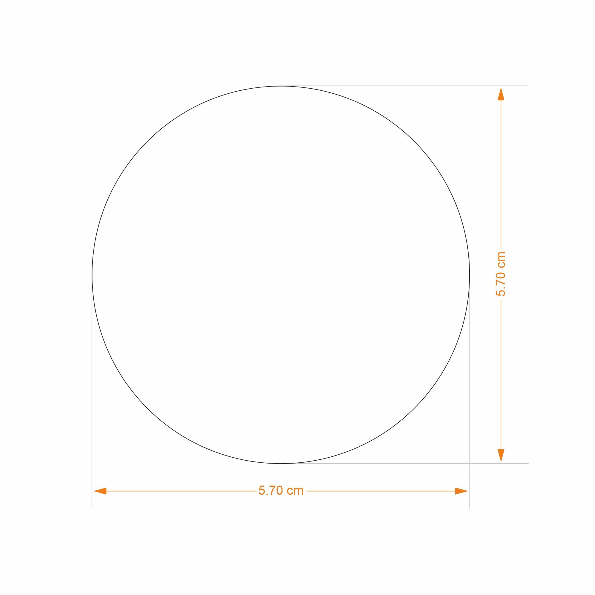 Paperweight - King Samudragupta Ashvamedha Coin