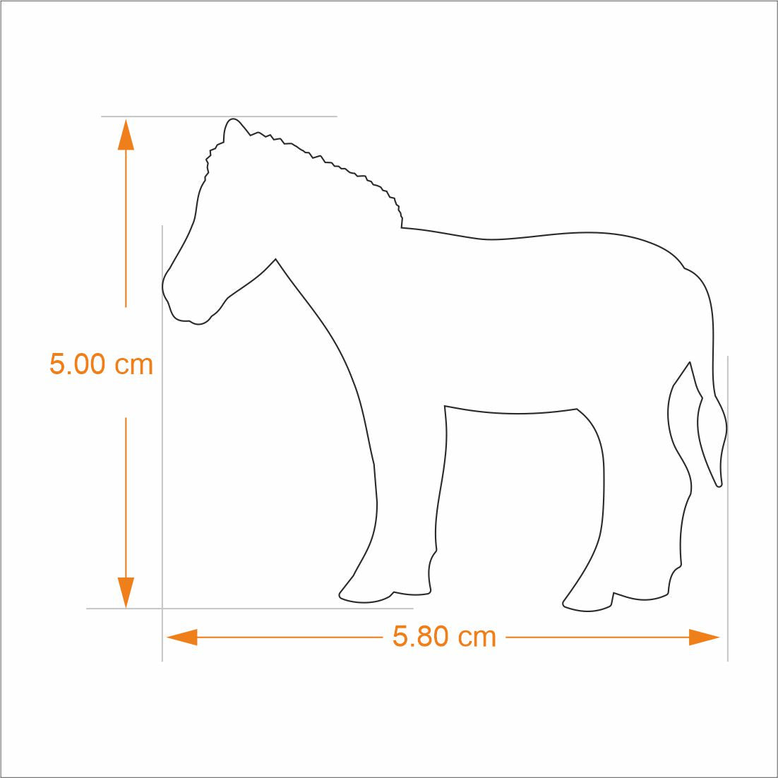 Bookmark Zebra | Anand Prakash