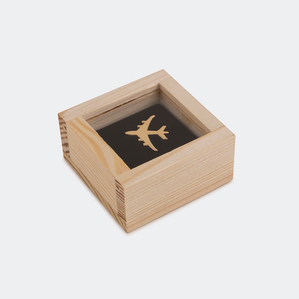 Lapel Pin Aeroplane GP | Anand Prakash