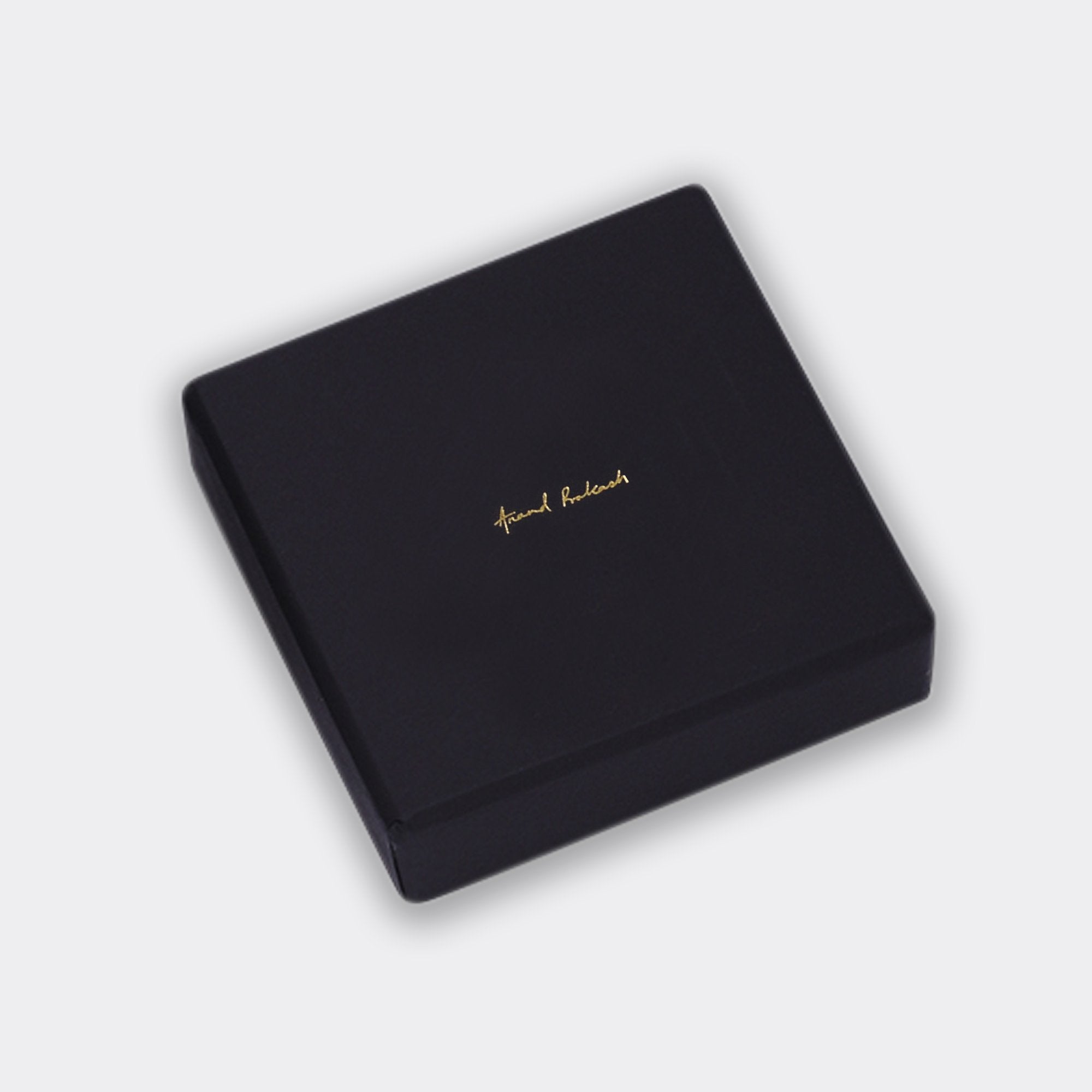 Paperweight One Rupee | Anand Prakash