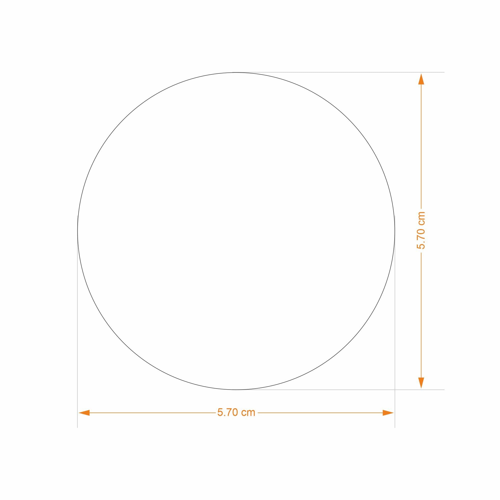 Paperweight One Rupee | Anand Prakash