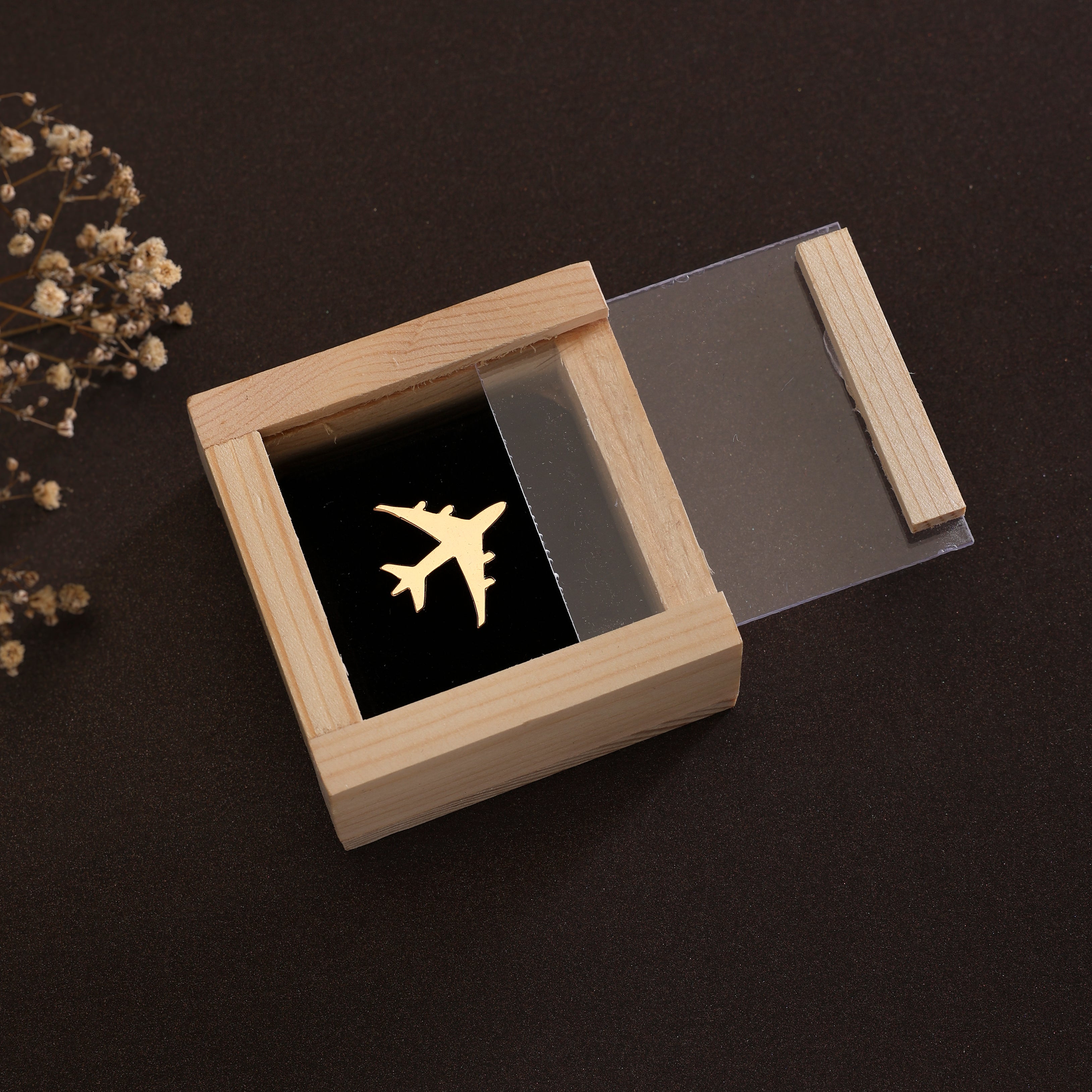 Lapel Pin Aeroplane GP