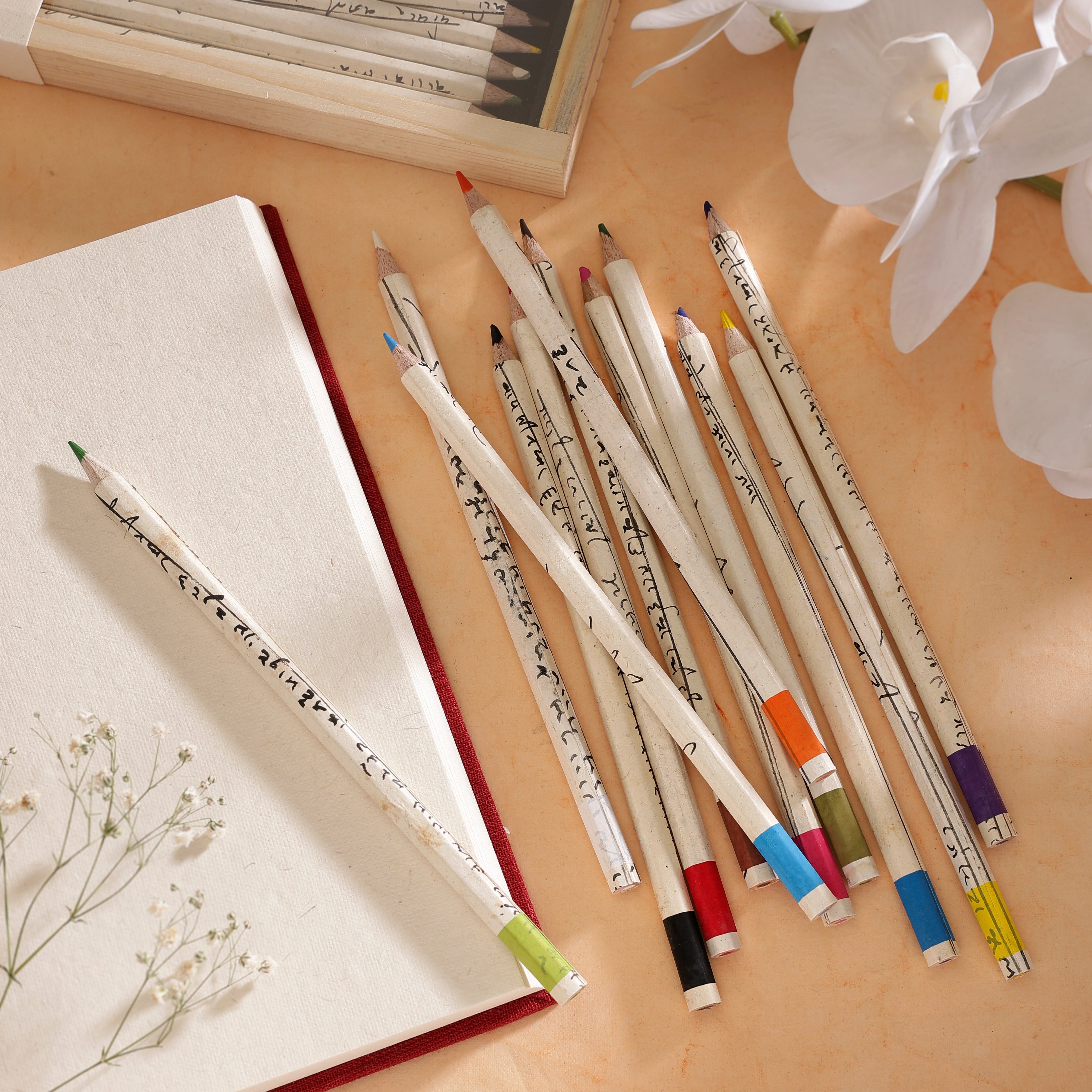 Colour Pencils - Vintage Docs. Box of 12