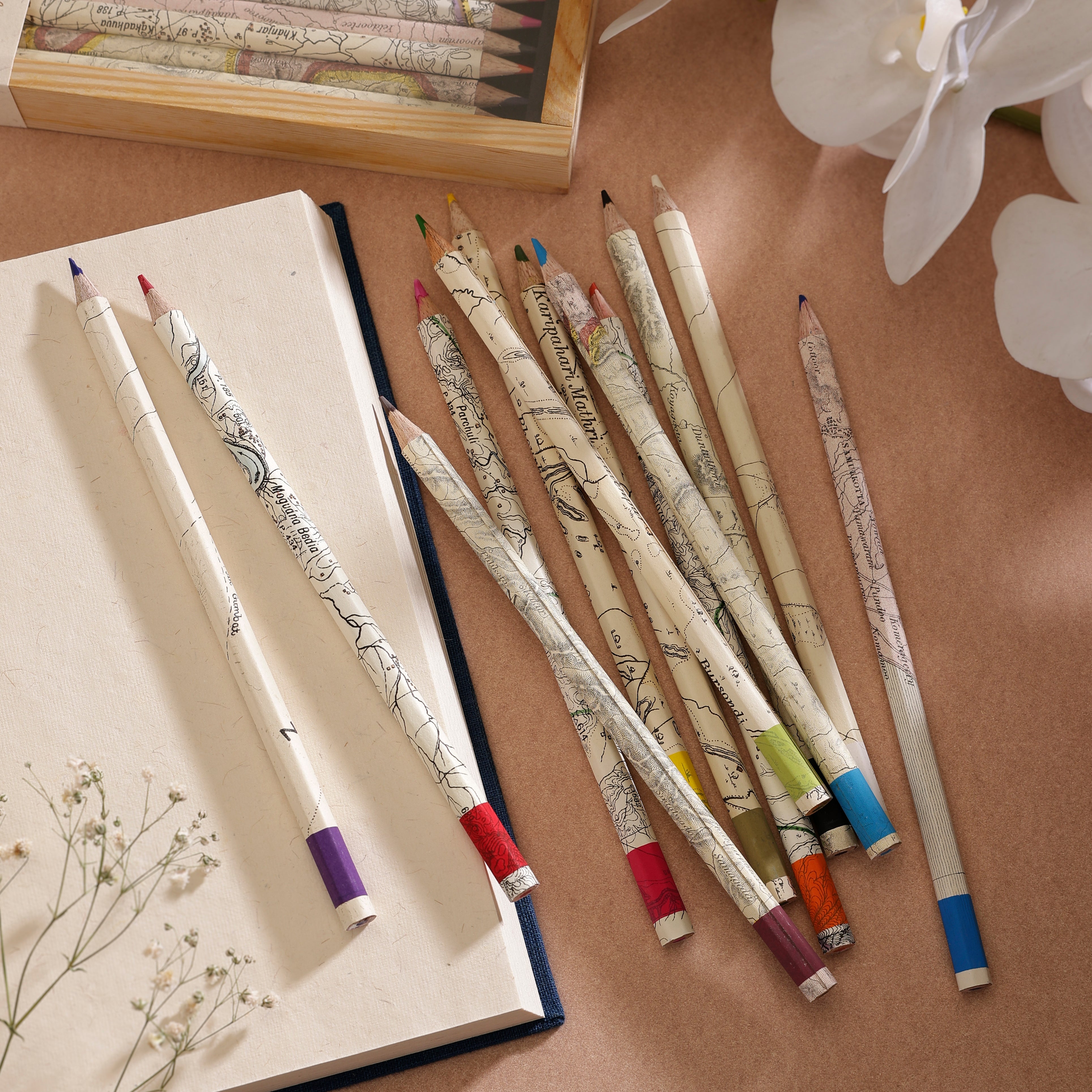 Colour Pencils - Maps Box of 12