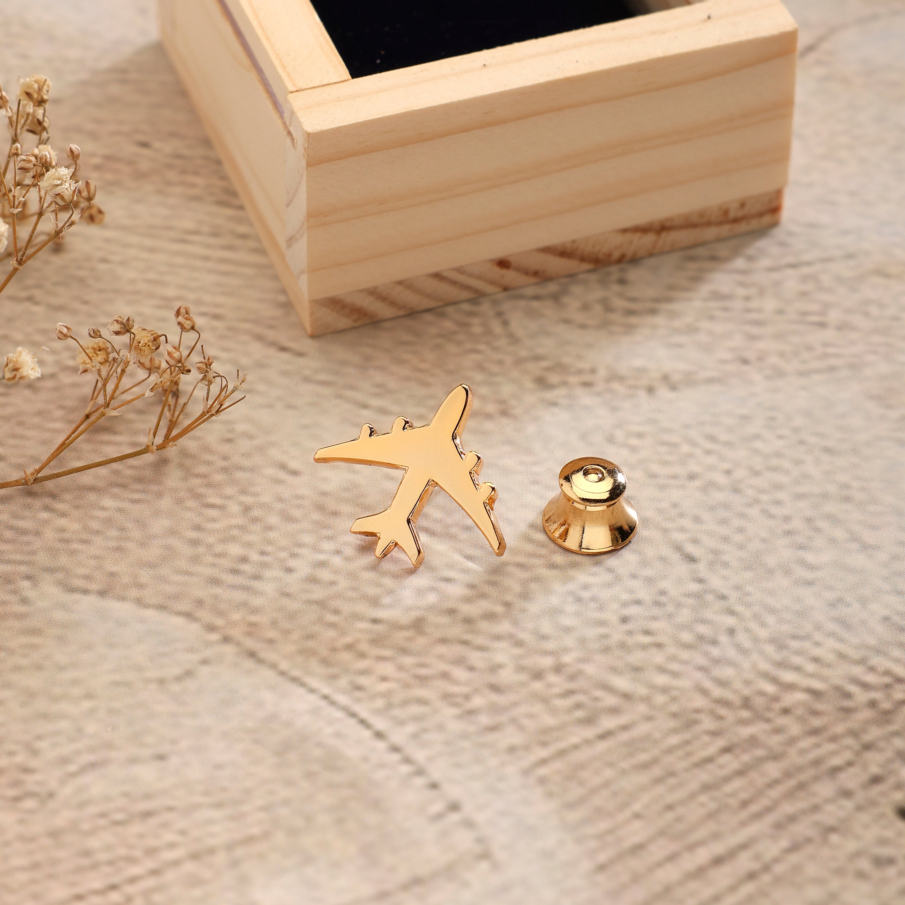 Lapel Pin Aeroplane GP