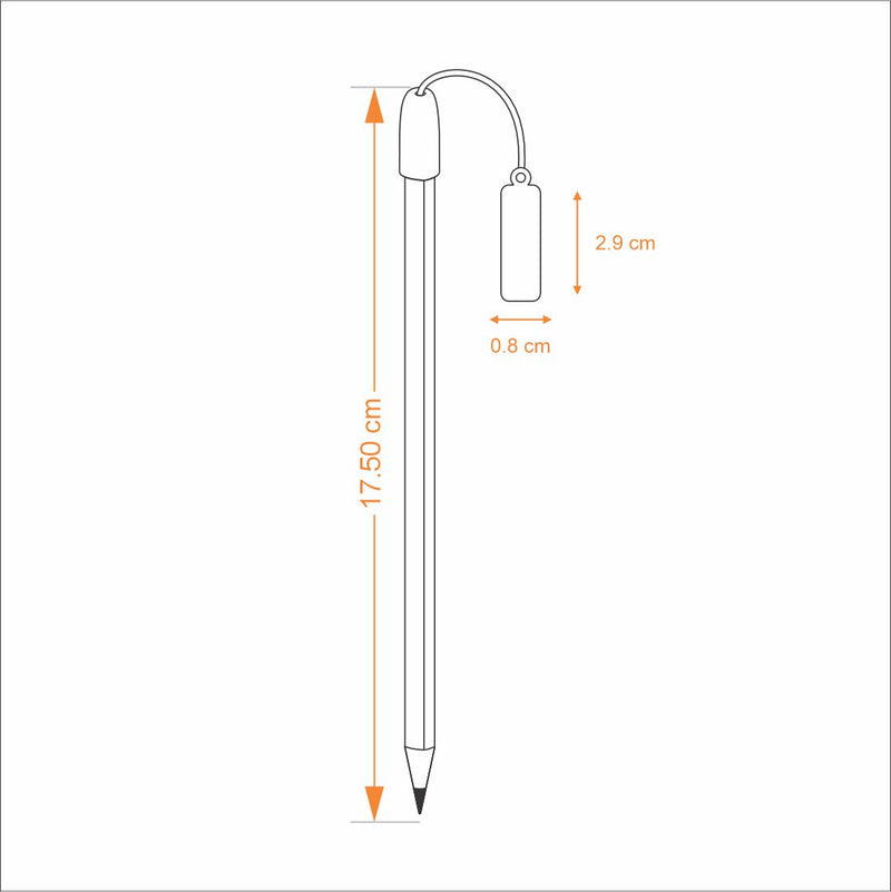 Pencils with Charms - Assorted