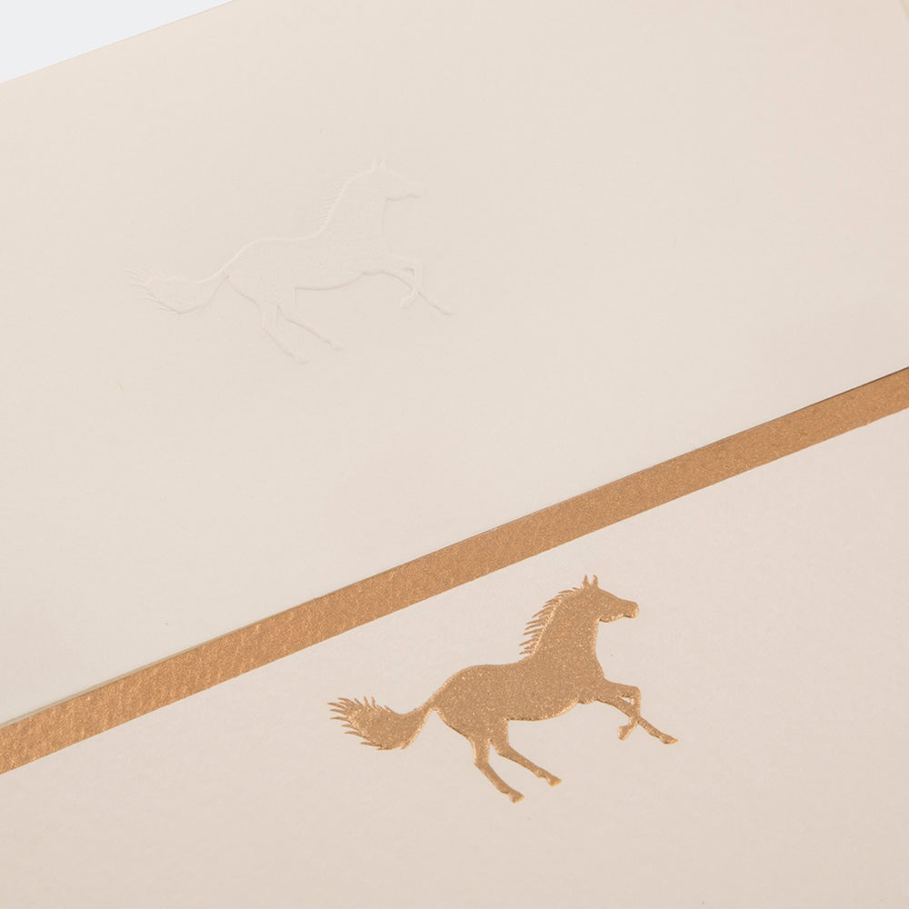 #type_notecards - 20pcs (16 x 12 cms)